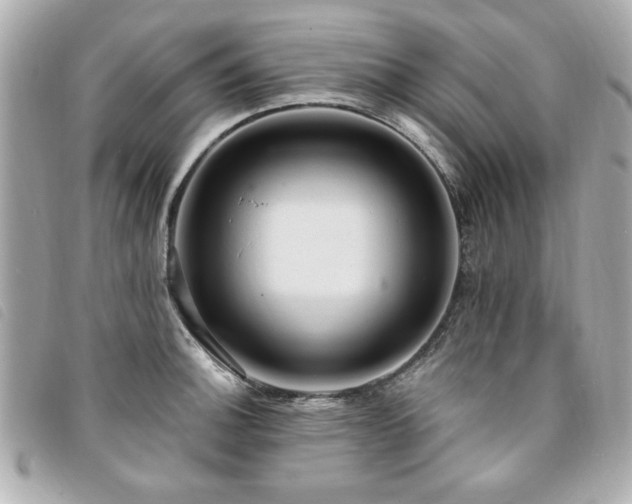 X0000094211140200710261205
