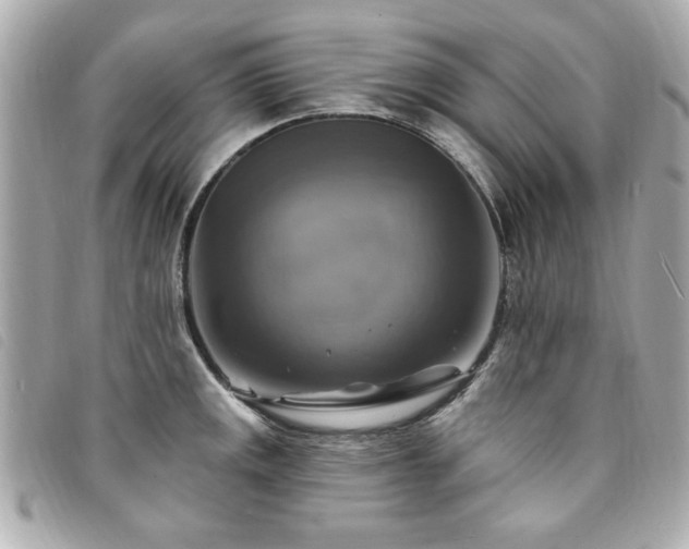 X0000094211141200710261205