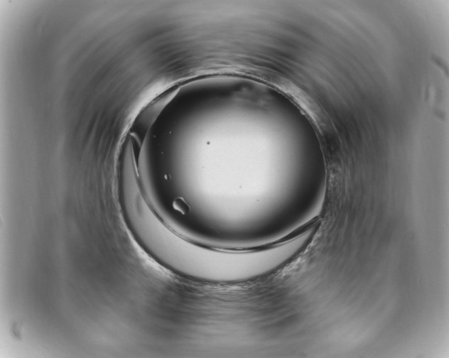 X0000094211143200710261205