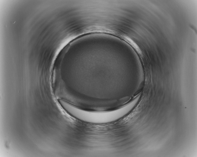 X0000094211144200710261205