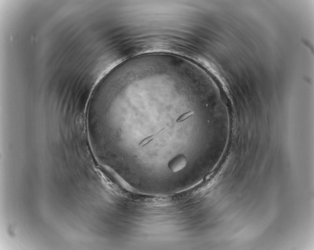 X0000094211145200710261205