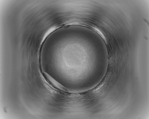 X0000094211146200710261205