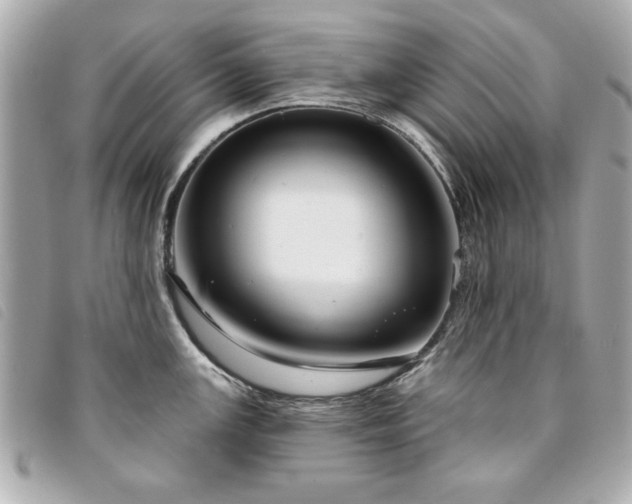 X0000094211147200710261205