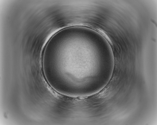 X0000094211148200710261205