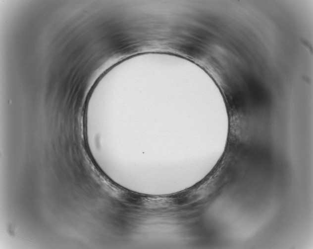 X0000094211150200710261205