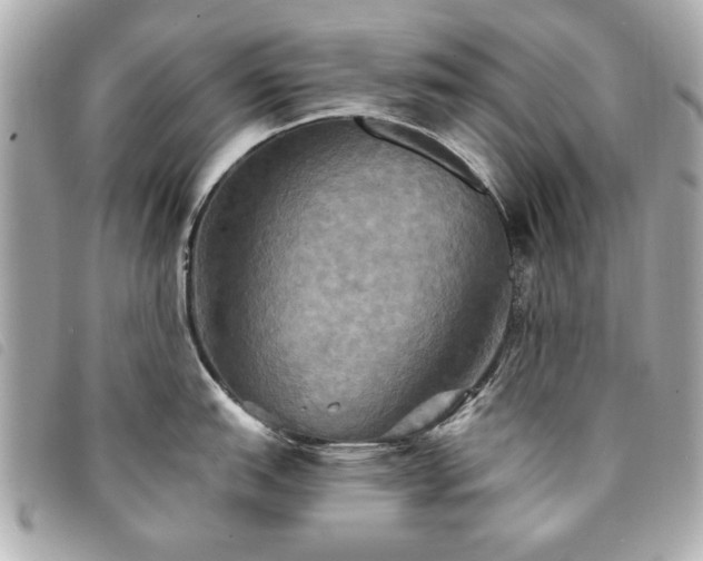 X0000094211151200710261205