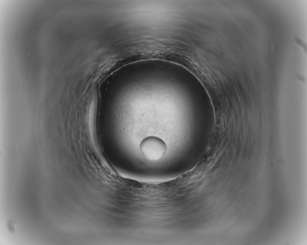 X0000094211153200710261205