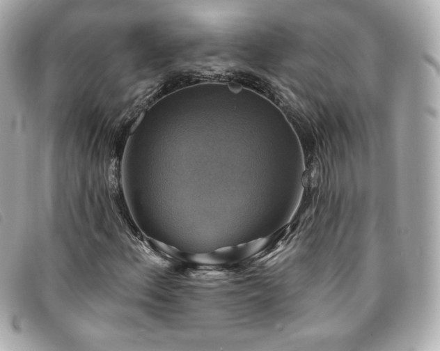 X0000094211156200710261205