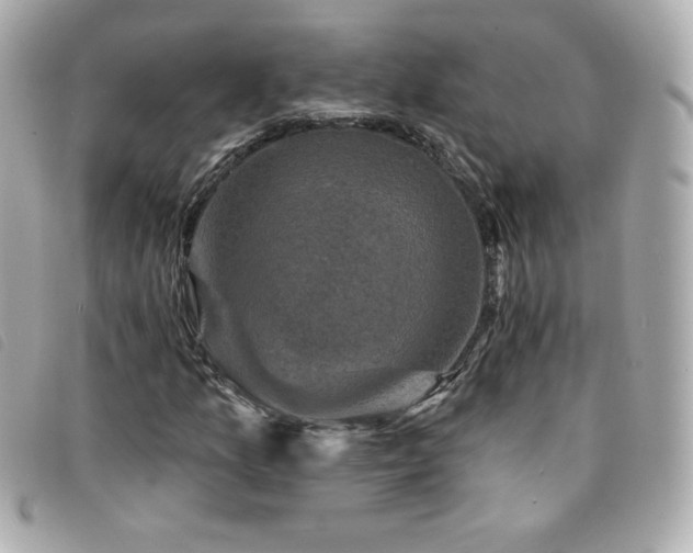 X0000094211157200710261205