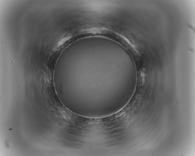 X0000094211158200710261205