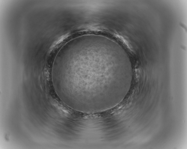 X0000094211159200710261205