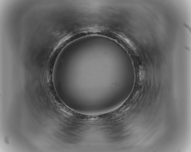X0000094211160200710261205