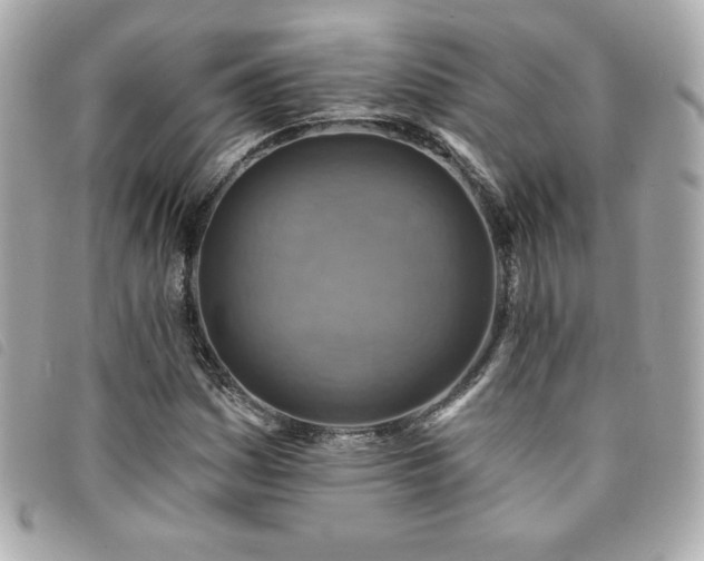 X0000094211161200710261205