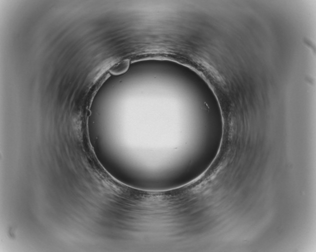 X0000094211162200710261205