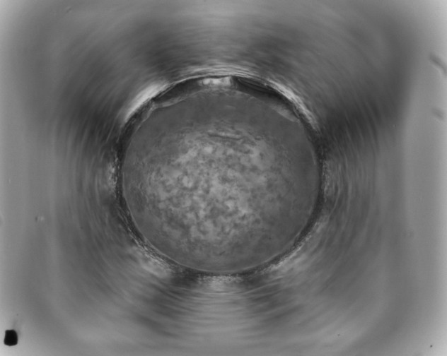 X0000094211163200710261205