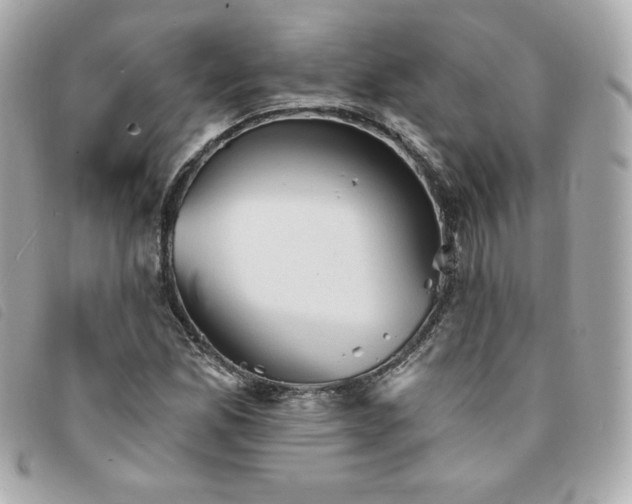 X0000094211165200710261205