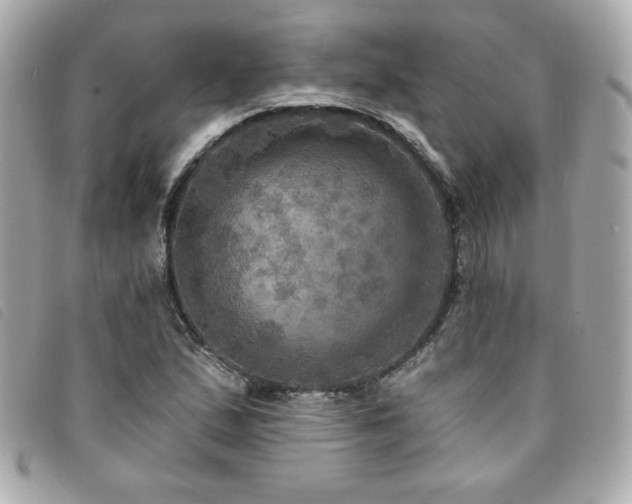 X0000094211167200710261205