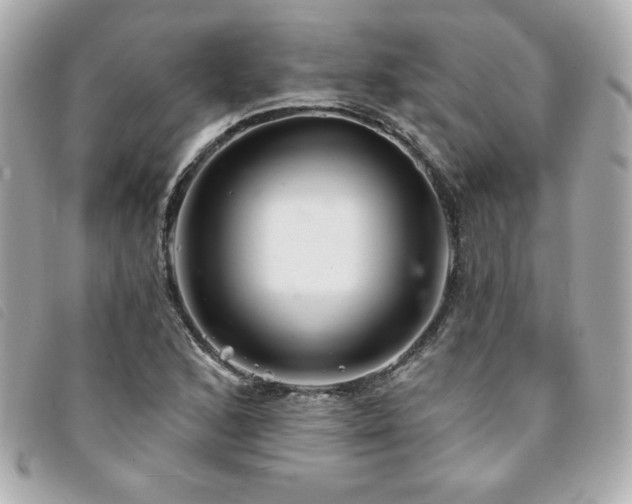 X0000094211168200710261205