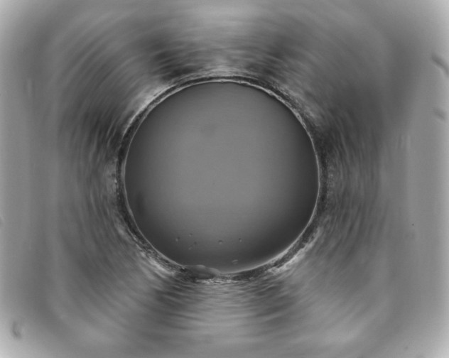 X0000094211170200710261205
