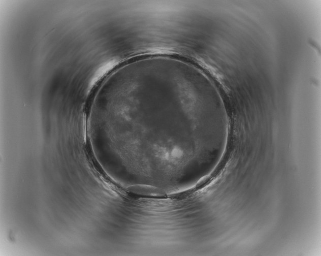 X0000094211171200710261205
