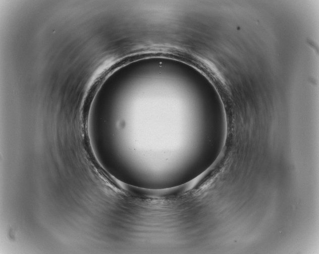 X0000094211172200710261205