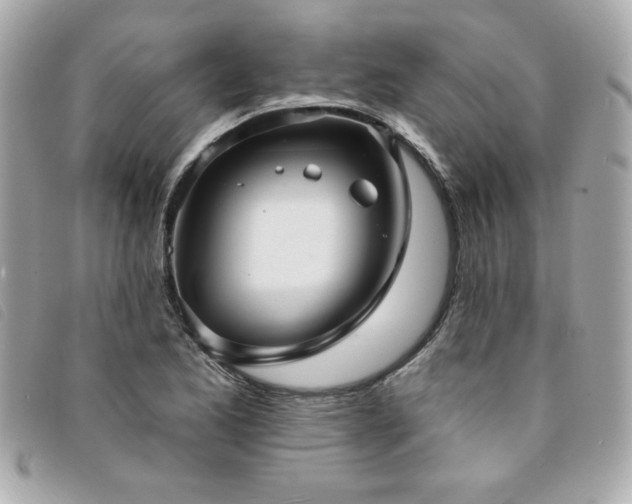 X0000094211173200710261205