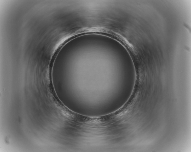 X0000094211174200710261205