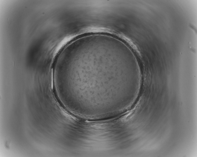 X0000094211175200710261205