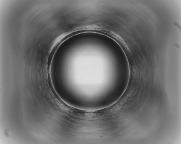 X0000094211176200710261205