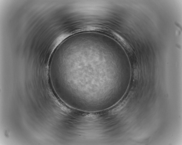 X0000094211178200710261205