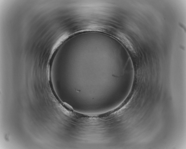 X0000094211180200710261205
