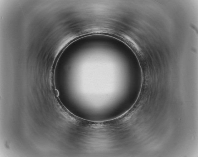 X0000094211182200710261205