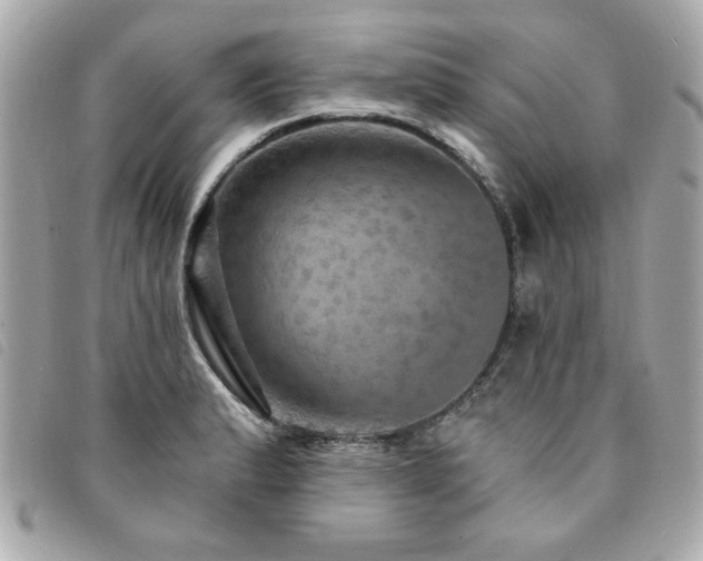 X0000094211183200710261205