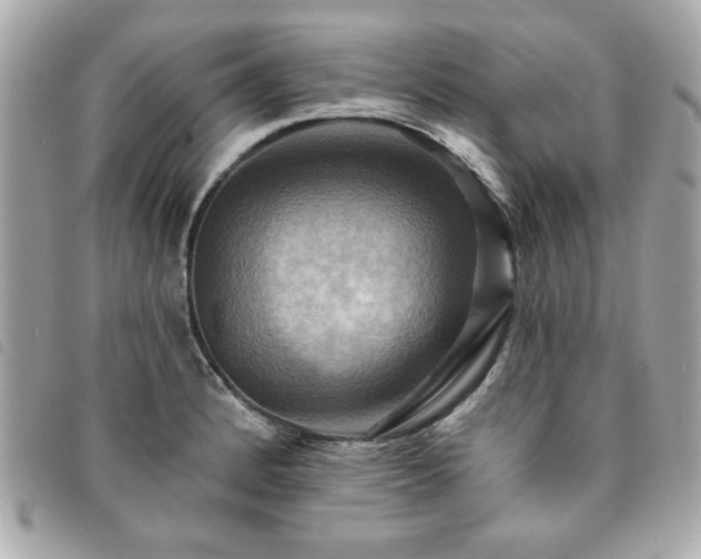 X0000094211184200710261205