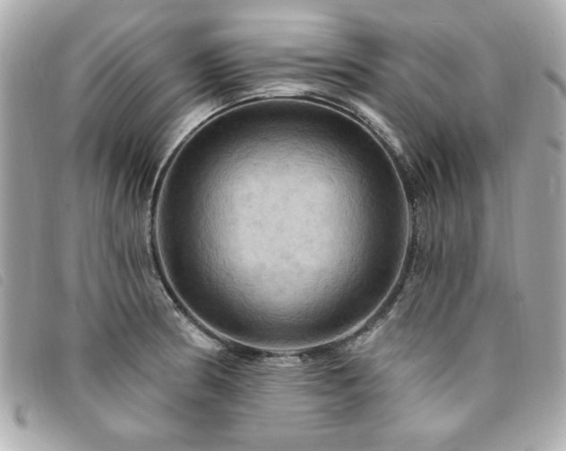 X0000094211186200710261205