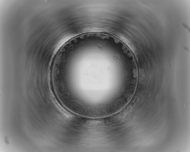 X0000094211187200710261205