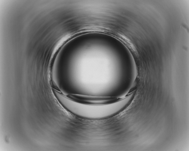 X0000094211188200710261205