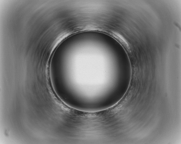 X0000094211190200710261204