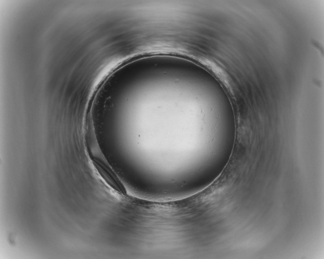 X0000094211191200710261204
