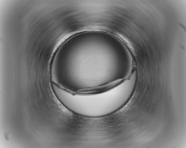 X0000094211192200710261204
