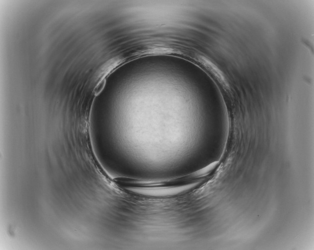X0000094211193200710261204