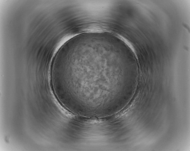 X0000094211195200710261204