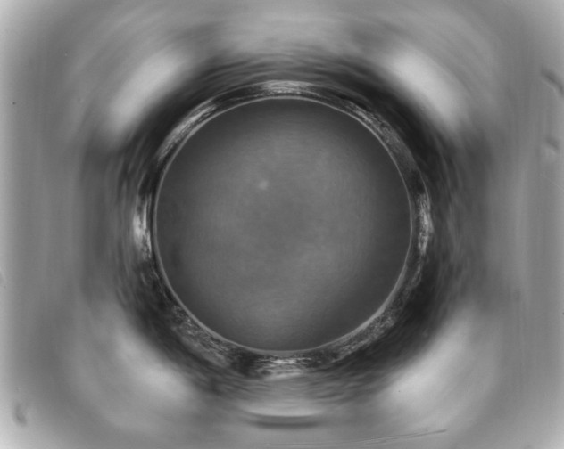 X0000094211198200710261204