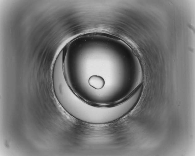 X0000094211200200710261204