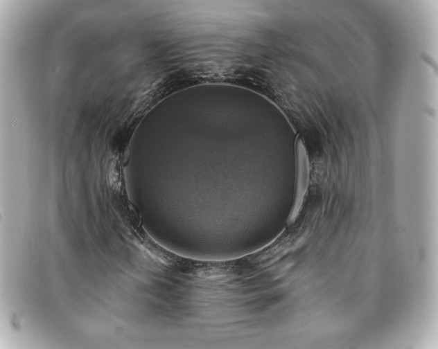 X0000094211202200710261204