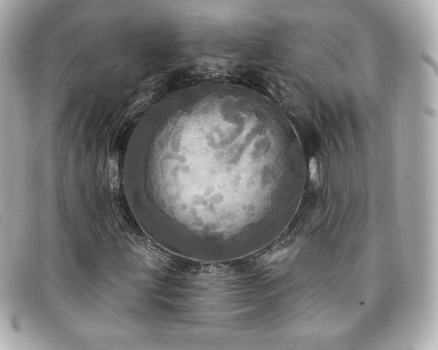 X0000094211203200710261204