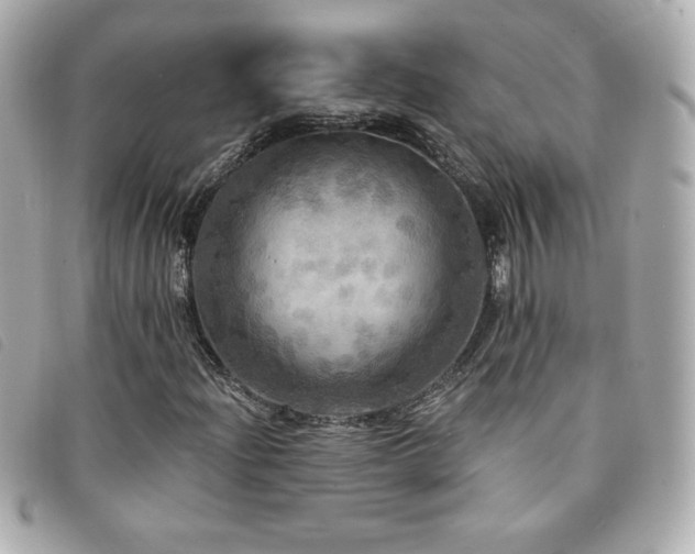 X0000094211204200710261204
