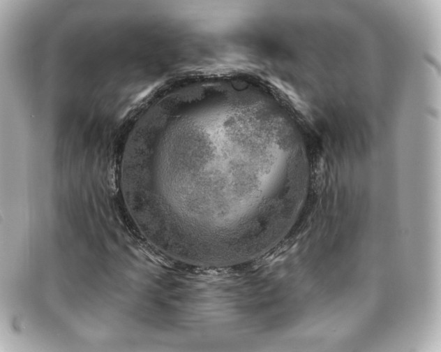 X0000094211205200710261204