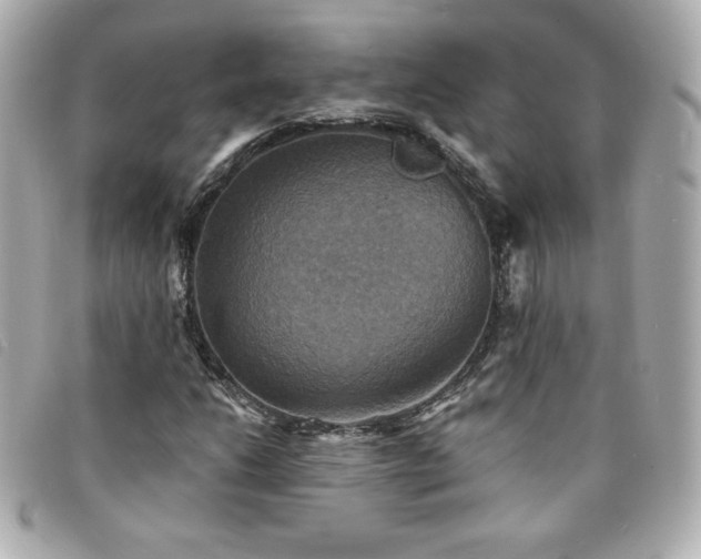 X0000094211206200710261204