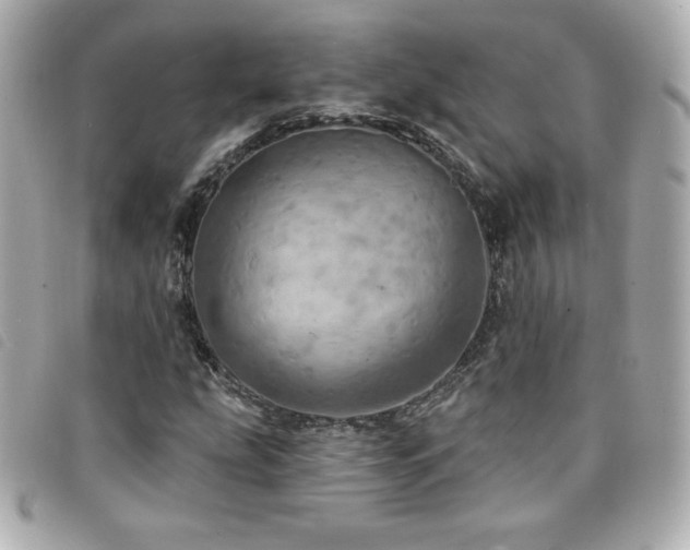 X0000094211207200710261204